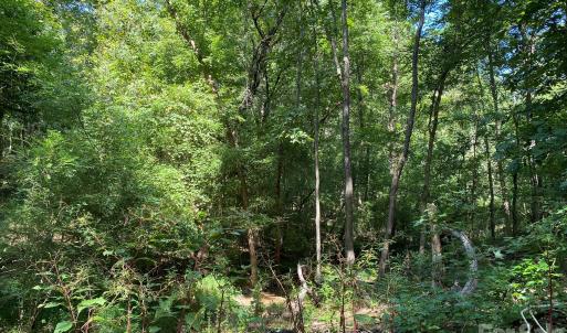 Photo #6 of 3317 Rilla Hamilton, Monroe, NC