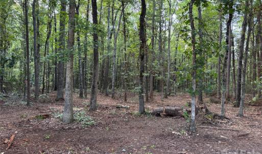 Photo #6 of 13.5 +/- Acres Mooresville, Mooresville, NC