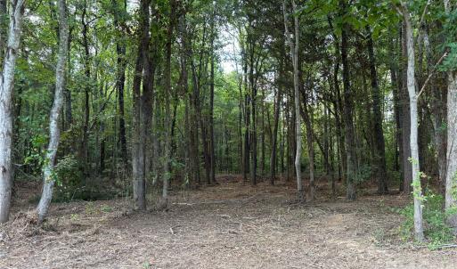Photo #5 of 13.5 +/- Acres Mooresville, Mooresville, NC