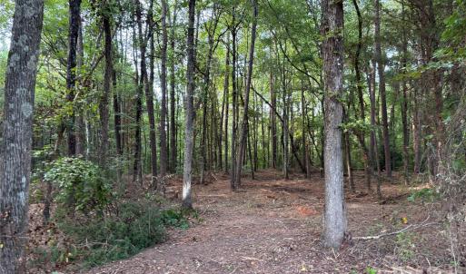 Photo #7 of 13.5 +/- Acres Mooresville, Mooresville, NC