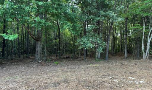 Photo #3 of 13.5 +/- Acres Mooresville, Mooresville, NC