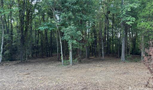 Photo #4 of 13.5 +/- Acres Mooresville, Mooresville, NC