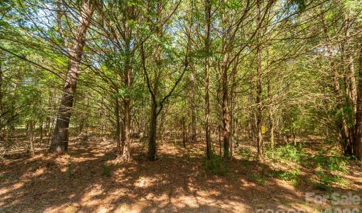 Photo #15 of Harkey, Waxhaw, NC