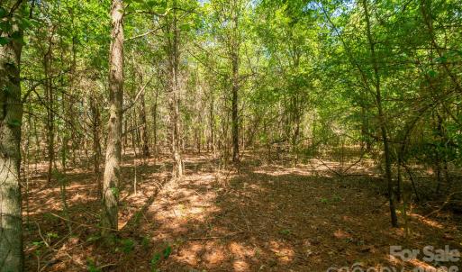 Photo #17 of Harkey, Waxhaw, NC