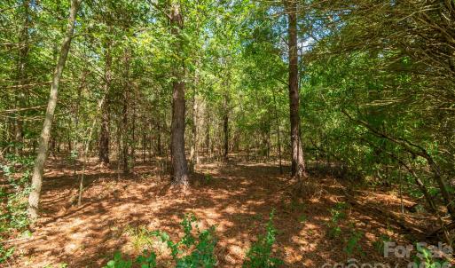 Photo #16 of Harkey, Waxhaw, NC