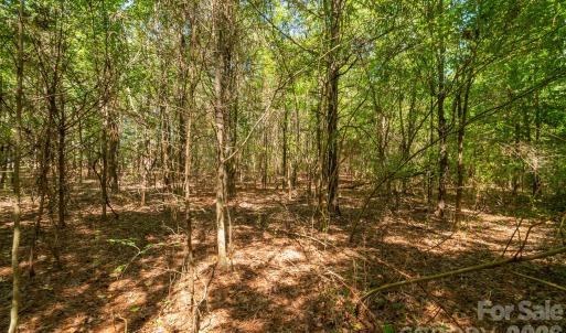 Photo #18 of Harkey, Waxhaw, NC
