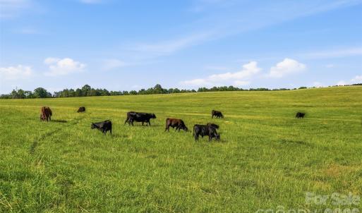 Photo #3 of 3545 Ernandez, Richburg, SC