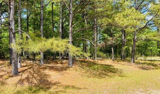Photo #1 of 385 Elbert Baskins, Cheraw, SC