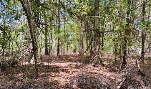 Photo #7 of 385 Elbert Baskins, Cheraw, SC