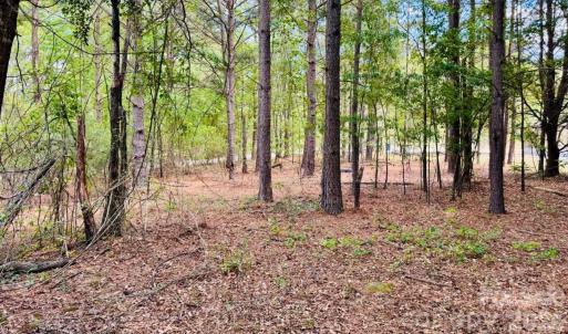 Photo #9 of 385 Elbert Baskins, Cheraw, SC