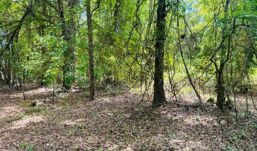 Photo #7 of 385 Elbert Baskins, Cheraw, SC
