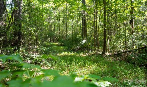 Photo #14 of Old Bradshaw, Salisbury, NC