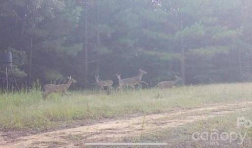 Photo #15 of Hwy 215, Blair, SC
