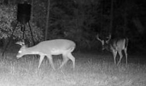 Photo #8 of Hwy 215, Blair, SC