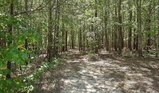 Photo #12 of 3227 Legend, Lancaster, SC