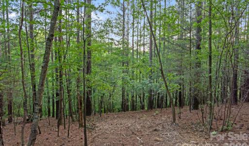 Photo #32 of Lucy Short Cut, Marshville, NC