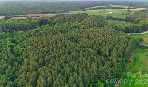 Photo #30 of Lucy Short Cut, Marshville, NC