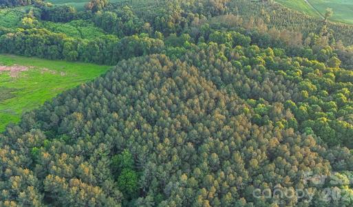 Photo #18 of Lucy Short Cut, Marshville, NC