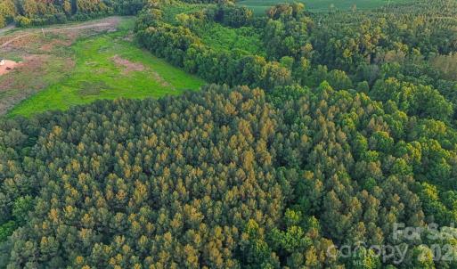 Photo #19 of Lucy Short Cut, Marshville, NC