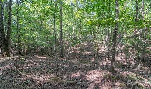 Photo #29 of 589 Bill Curlee, Polkton, NC