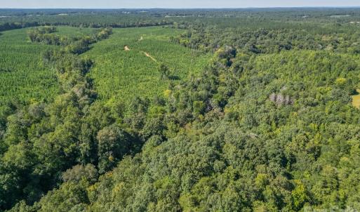 Photo #8 of 589 Bill Curlee, Polkton, NC