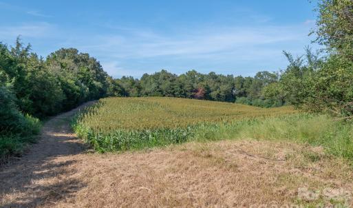 Photo #26 of 589 Bill Curlee, Polkton, NC