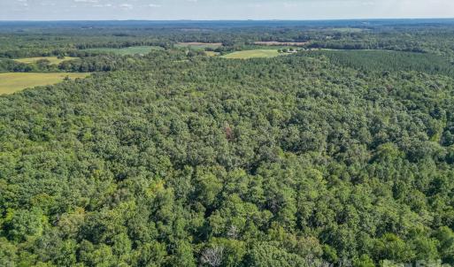 Photo #11 of 589 Bill Curlee, Polkton, NC