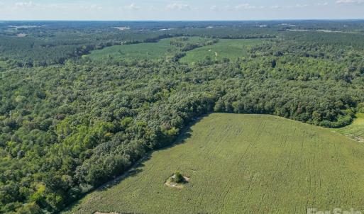Photo #40 of 589 Bill Curlee, Polkton, NC