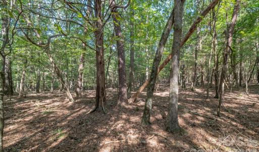 Photo #28 of 589 Bill Curlee, Polkton, NC