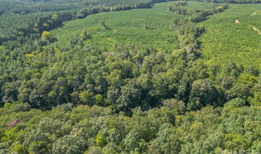 Photo #9 of 589 Bill Curlee, Polkton, NC