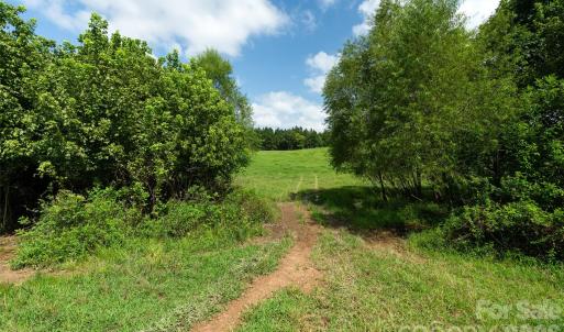 Photo #44 of Lucy Short Cut, Marshville, NC