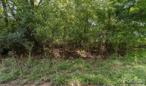 Photo #41 of Lucy Short Cut, Marshville, NC
