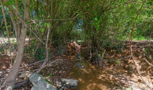 Photo #43 of Lucy Short Cut, Marshville, NC