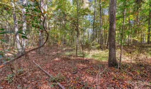 Photo #14 of Charleston, Indian Land, SC