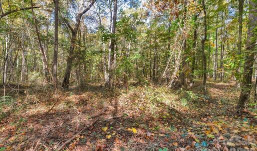Photo #12 of Charleston, Indian Land, SC