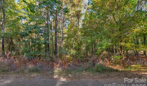 Photo #16 of Charleston, Indian Land, SC