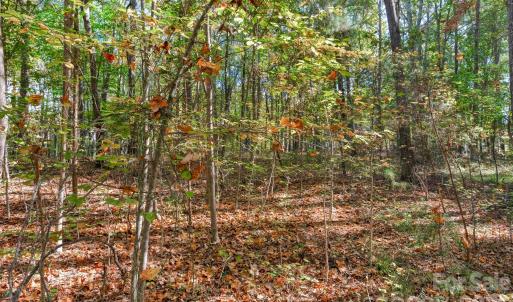 Photo #15 of Charleston, Indian Land, SC