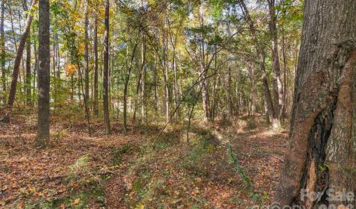 Photo #13 of Charleston, Indian Land, SC