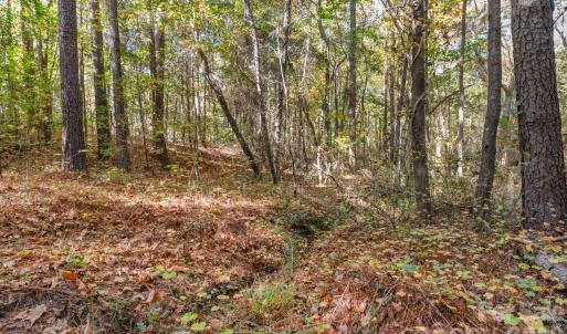 Photo #11 of Charleston, Indian Land, SC