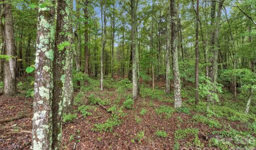 Photo #13 of Mountain, Cleveland, NC