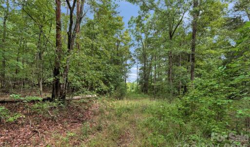 Photo #17 of Mountain, Cleveland, NC