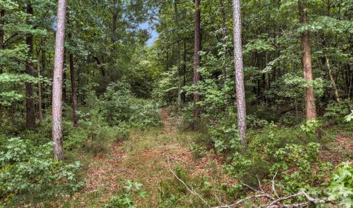 Photo #11 of Mountain, Cleveland, NC