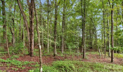 Photo #12 of Mountain, Cleveland, NC