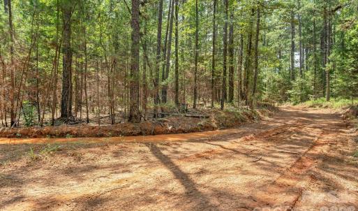 Photo #4 of Hwy 72, Carlisle, SC