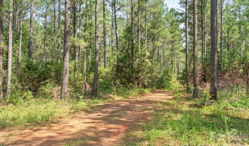 Photo #8 of Hwy 72, Carlisle, SC