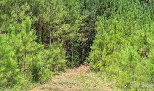 Photo #7 of Hwy 72, Carlisle, SC