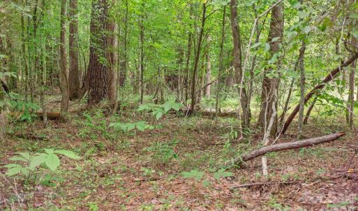 Photo #10 of Hwy 72, Carlisle, SC