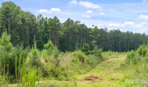 Photo #11 of Hwy 72, Carlisle, SC