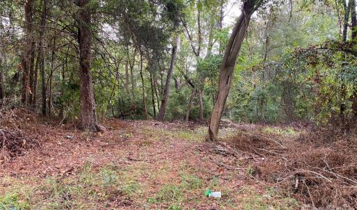 Photo #3 of 245 Slayton, Whitmire, SC