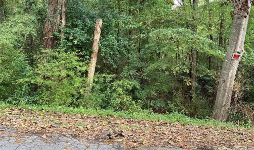Photo #4 of 245 Slayton, Whitmire, SC